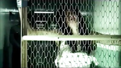 Püüdsin Bathis mu vendade tüdruksõbra poolalasti